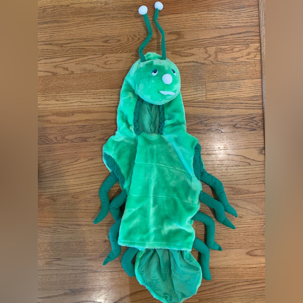 Caterpillar Toddler 18-24M Costume